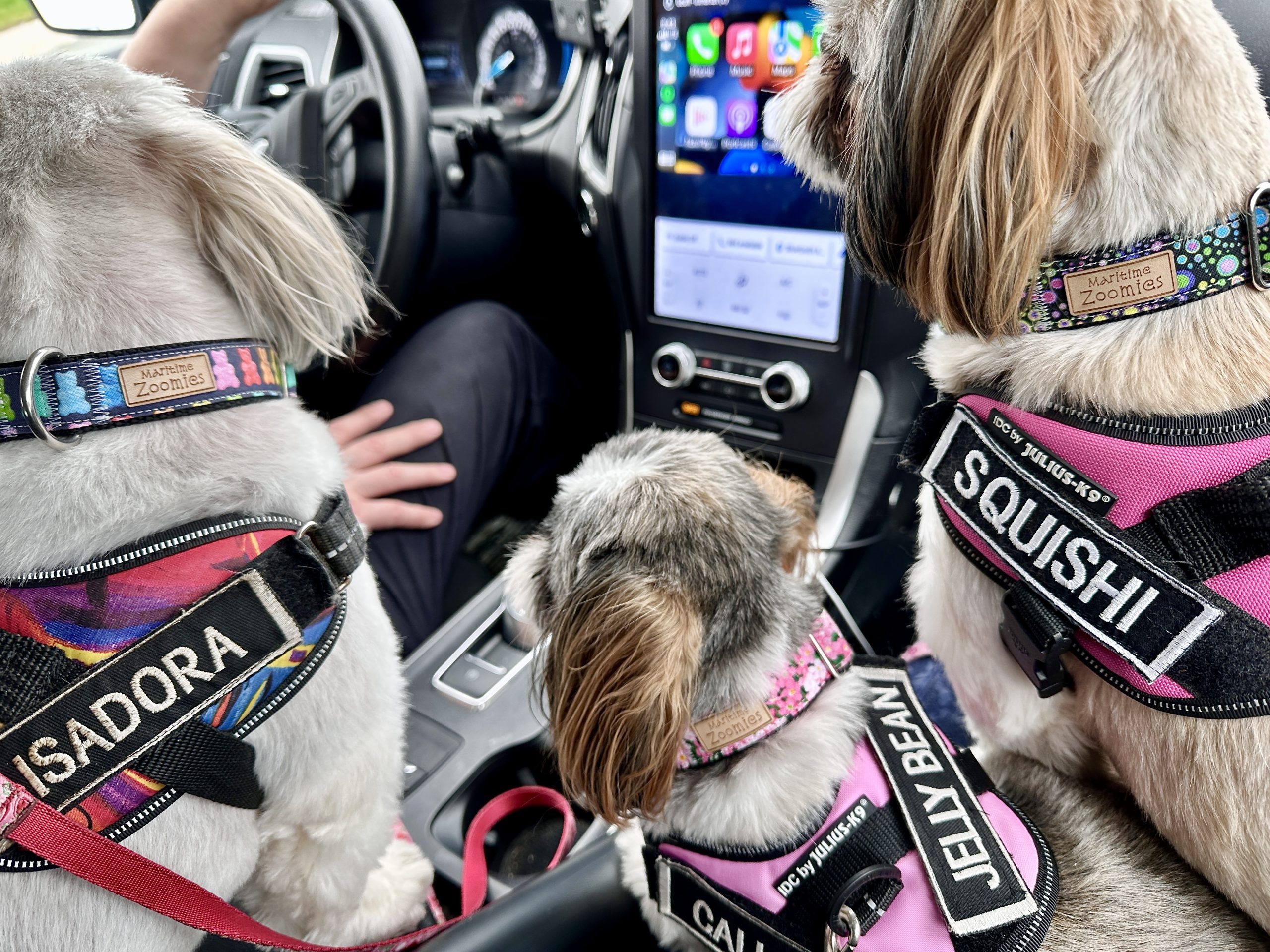 Dog Harness Patches - Image 3